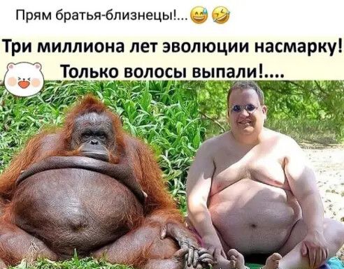 Прям братья6пизнецы Три миллиона лет эволюции насмарку