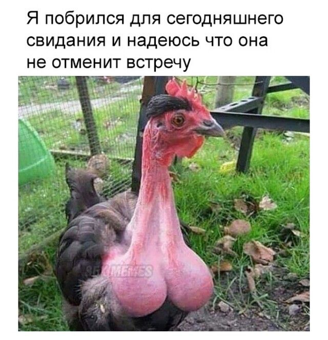 Я побрился для сегодняшнего свидания и надеюсь что она не отменит встречу
