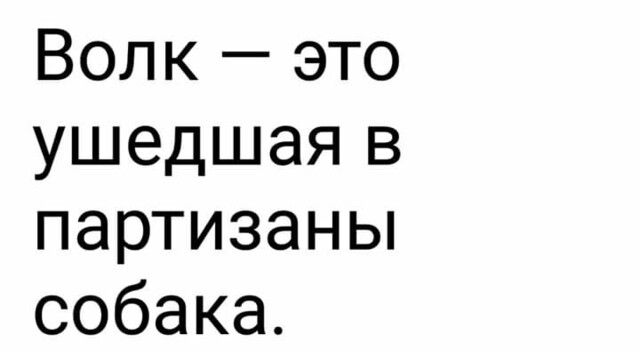 Волк это ушедшаяв партизаны собака