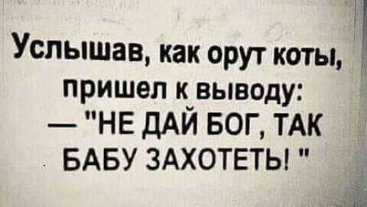 Услышав как орут коты пришел к вьводу НЕ ДАЙ БОГ ТАК БАБУ ЗАХОТЕТЫ Ё