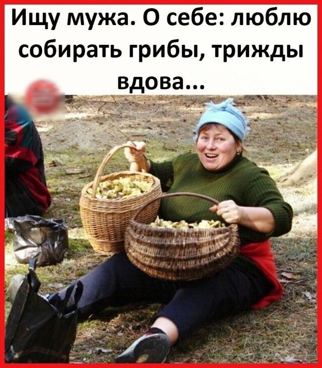 Ищу мужа О себе люблю собирать грибы трижды вдова__