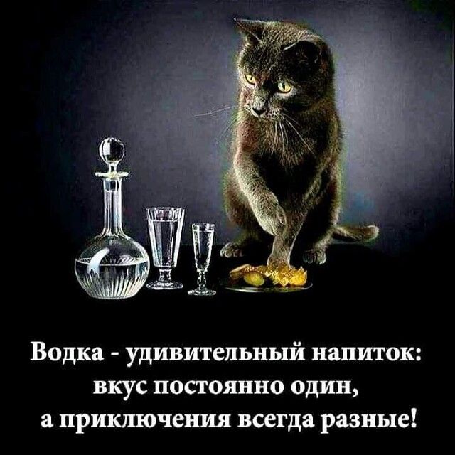 Водка удивительный напиток вкус постоянно один а приключения всегда разные