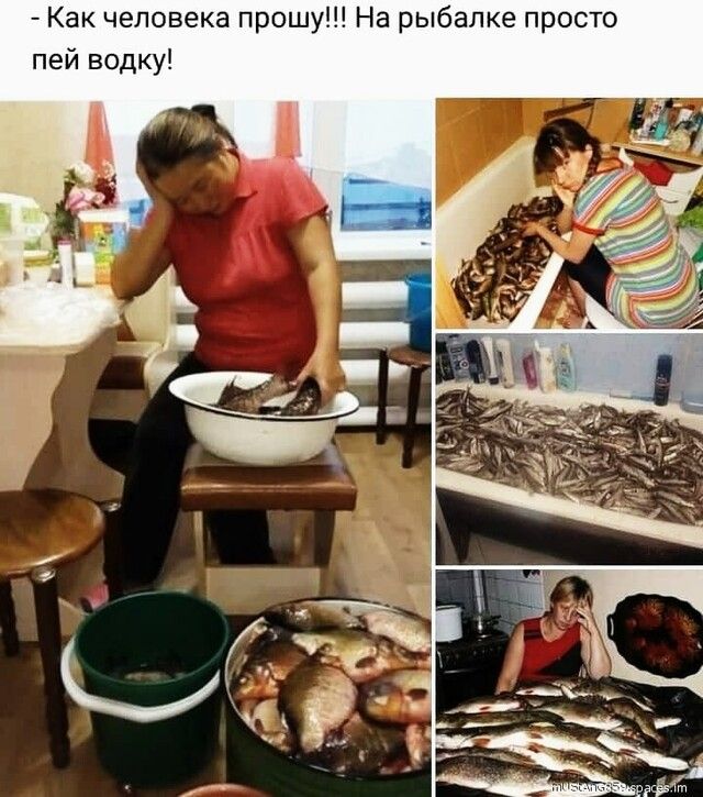 Как человека прошу На рыбалке просто пей водку