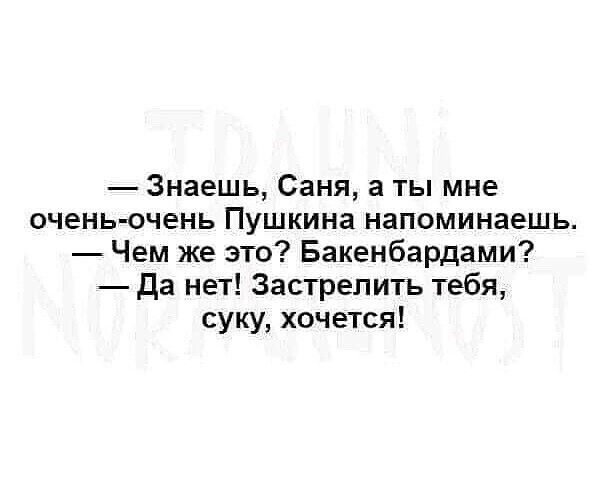 Знаешь Саня а ты мне очень очень Пушкина напоминаешь Чем же это Бакенбардами да нет Застрепить тебя суку хочется