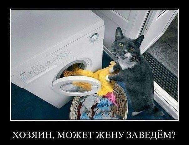 ХОЗЯИН МОЖЕТ ЖЕНУ ЗАВЕДЁМ