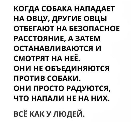 когдА СОБАКА НАПАДАЕТ НА овцу другие овцы ОТБЕГАЮТ НА БЕЗОПАСНОЕ РАССТОЯНИЕ А ЗАТЕМ ОСТАНАВЛИВАЮТСЯ и смотрят НА НЕЁ они НЕ овъвдиняются против СОБАКИ они просто РАДУЮТСЯ что НАПАЛИ НЕ НА них всЁ КАК у людей