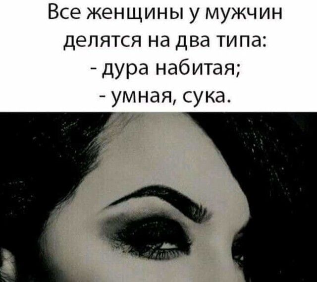 Все женщины у мужчин делятся на два типа дура набитая умная сука