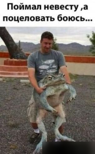 Поймал иевекту а поцеловать боюсь