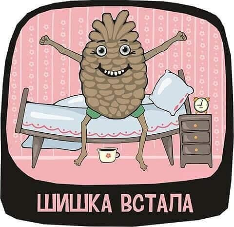 ШИШКА ВСТАПА