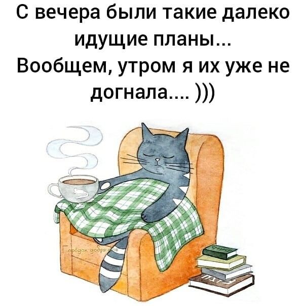 С вечера были такие далеко идущие планы Вообщем утром я их уже не догнала