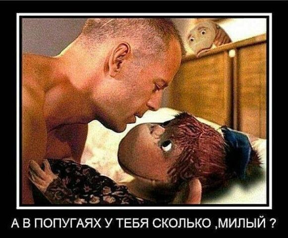 А В ПОПУГАЯХ У ТЕБЯ СКОЛЬКО МИПЫЙ