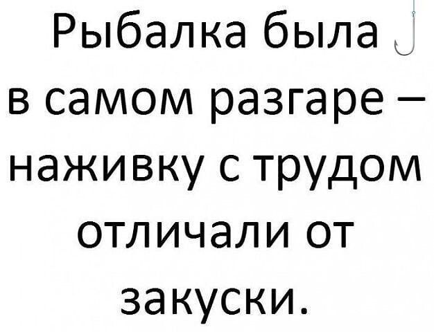 Рыбалка была д в самом разгаре наживку с трудом отличали от закуски