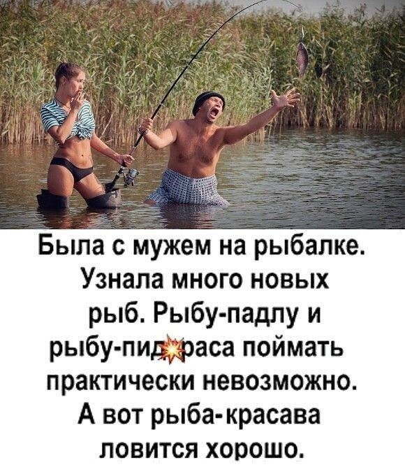 Была с мужем на рыбалке Узнала много новых рыб Рыбу падлу и рыбу пицфаса поймать практически НЕВОЗМОЖНО А вот рыба красава ловится хорошо