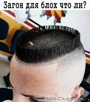 _Загон для блох что ли и