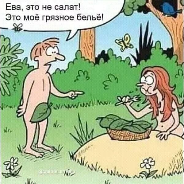 Ева это не салат Это моё грязное бельё