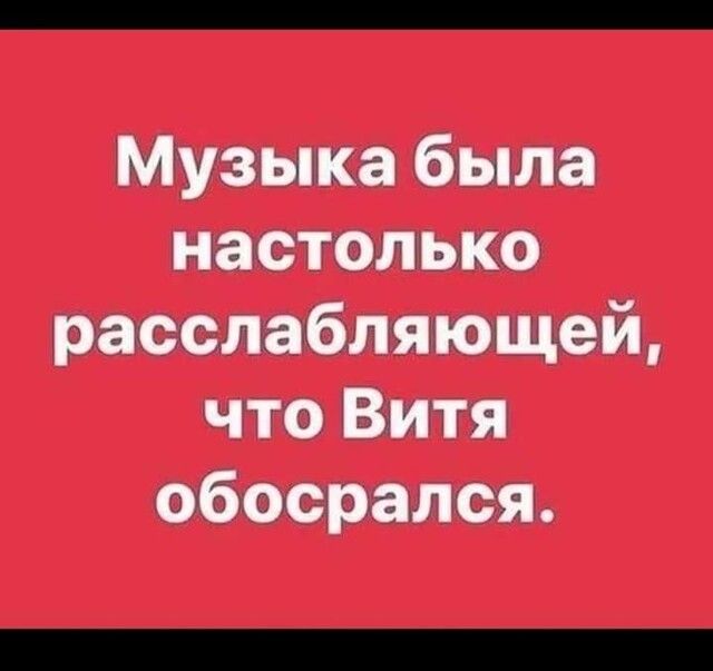 Музыка была настолько расслабляющей что Витя обосрался