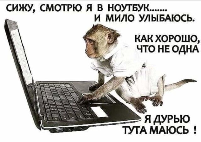 СИЖУ СМОТРЮ Я В НОУТБУК И МИЛО УЛЫБАЮСЬ КАК ХОРОШО ЧТО НЕ ОДНА ТУТА МАЮСЬ