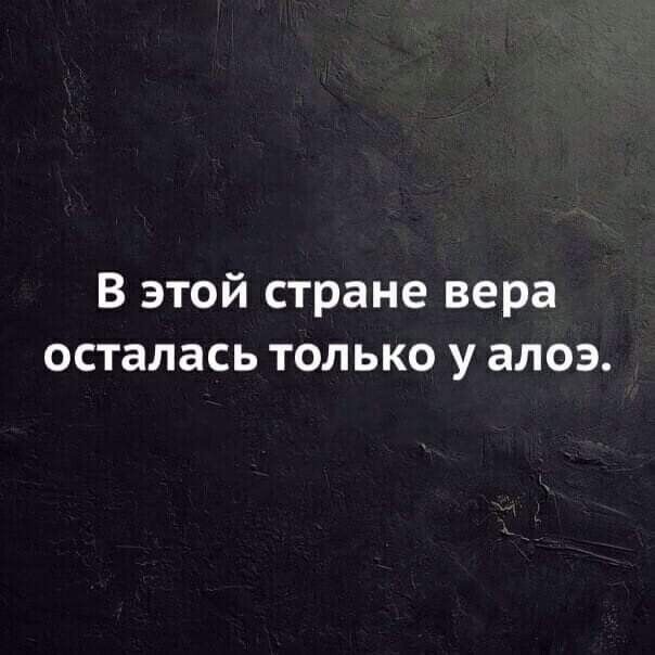 В этой стране вера осталась только у алоэ