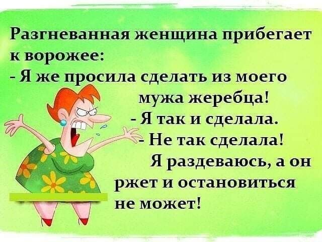 мужа жеребца Я так И сделала Не так сделала Я раздеваюсь а он ржет и остановиться не может