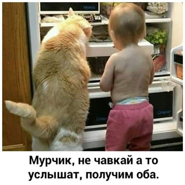 Мурчик не чавкай а то услышат получим оба
