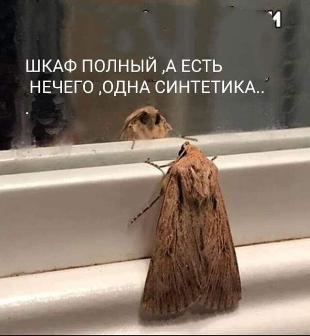 ШКАФ ПОЛНЫЙ А ЕСТЬ НЕЧЕГО ОДНАСИНТЕТИКАЦ
