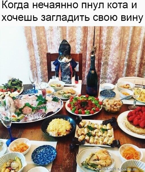 Когда НЭЧЭЯННО ПНУП кота И ХОЧЭШЬ загладить СВОЮ ВИНУ
