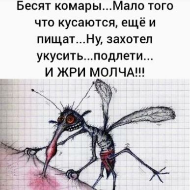 Бесят комарыМало того что кусаются ещё и пищатНу захотел укуситьподпети И ЖРИ МОЛЧА Ё на
