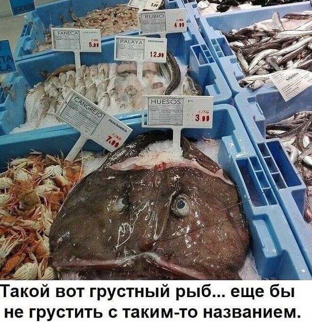 бы не грустить с таким то названием