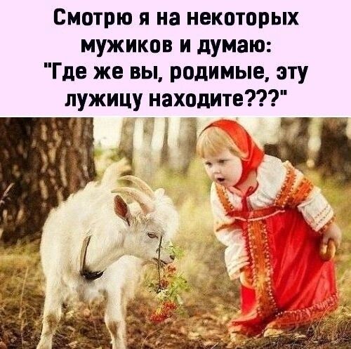 Смотрю я на некоторых мужиков и думаю Где же вы родимые эту лужицу находите 78135