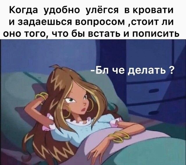 Когда удобно улёгся в кровати И задаешься вопросом СТОИТ ПИ ОНО ТОГО ЧТО бы встать И ПОПИСИТЬ Бл че делать