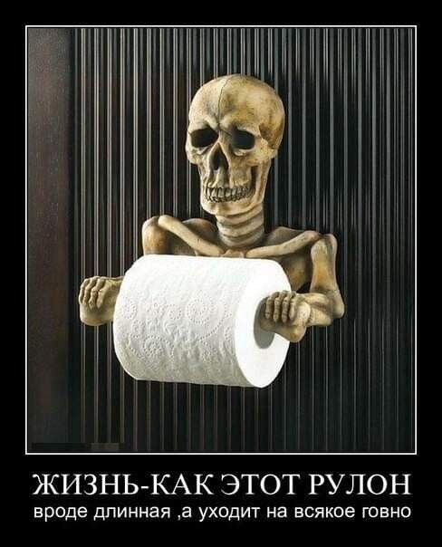 ЖИЗНЬКАК ЭТОТ РУЛОН вроде длинная а уходит на всякое говно