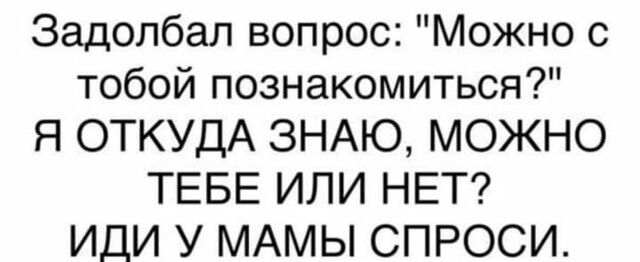 Задолбал вопрос Можно с тобой познакомиться Я ОТКУДА ЗНАЮ МОЖНО ТЕБЕ ИЛИ НЕТ ИДИ У МАМЫ СПРОСИ