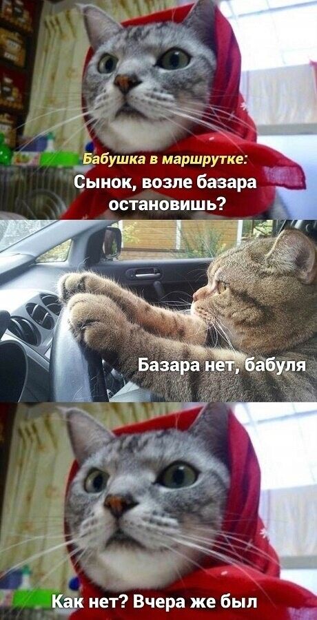 ЁЁ 1 г _ _Ёабушка в маршрутке Сынок возле базара остановишь ЁЁ нет Вчера же был