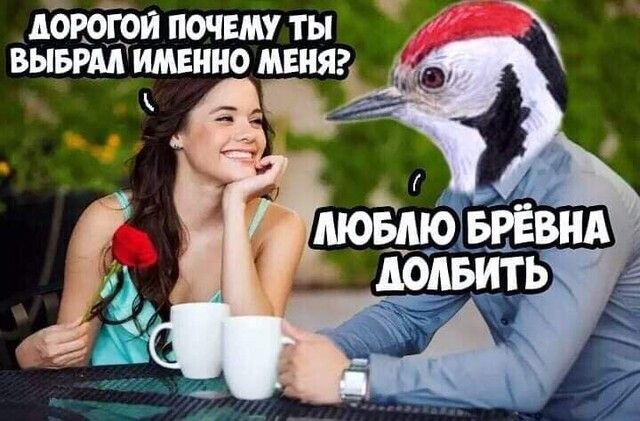 АОРОГОИ ПОЧЕМУ ТЫ ВЫБРМ ИМЕННО МЕНЯ