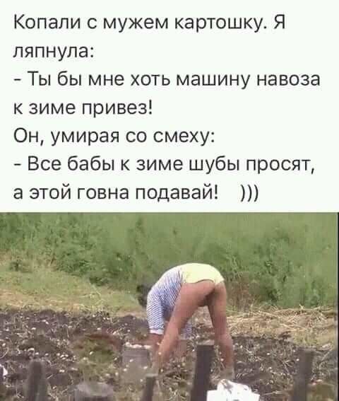 Копали с мужем картошку Я ляпнупа Ты бы мне хоть машину навоза к зиме привез Он умирая со смеху Все бабы зиме шубы просят а этой говна подавай