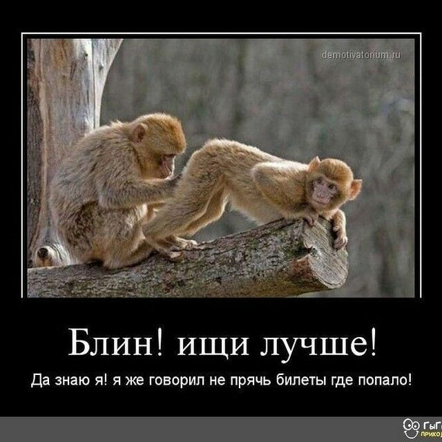 Блин ИЩИ лучше Да знаю я я же говорил не прячь билеты где попало