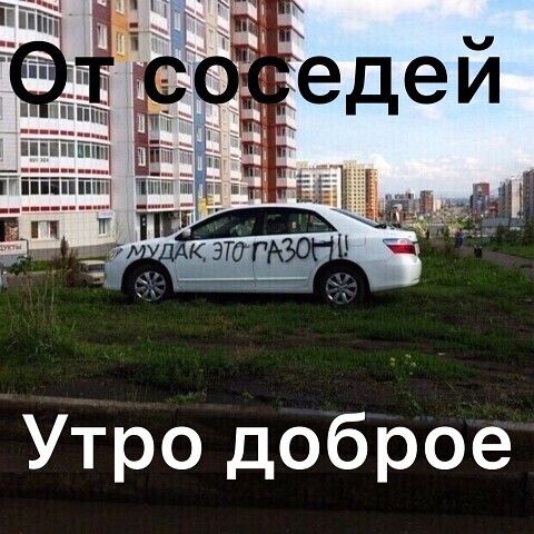 Утро доброе
