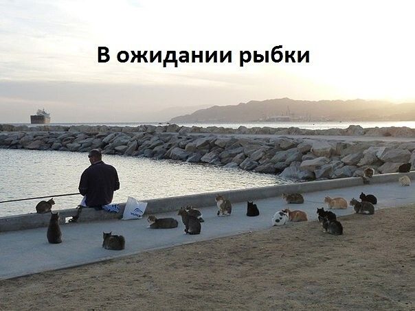 В ожидании рыбки