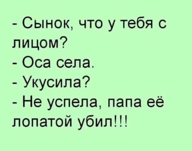 Сынок что у тебя с лицом Оса села Укусила Не успела папа её лопатой убил