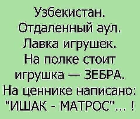 Узбекистан Отдаленный аул Лавка игрушек На полке стоит игрушка ЗЕБРА На ценнике написано ИШАК МАТРОС