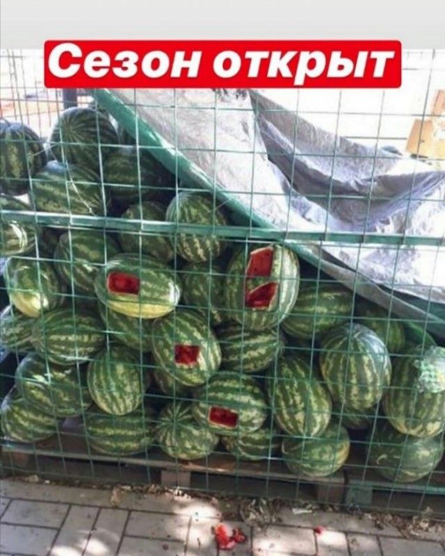 Чезон о_ткрыт