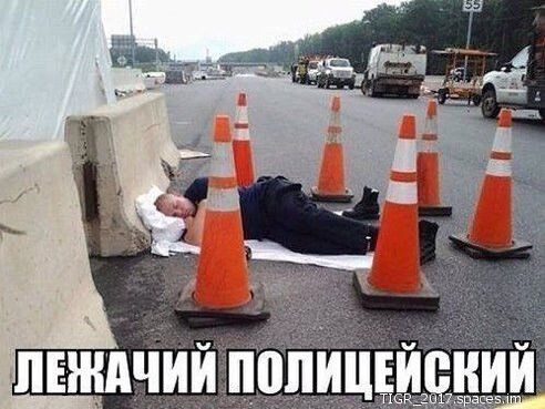 ц