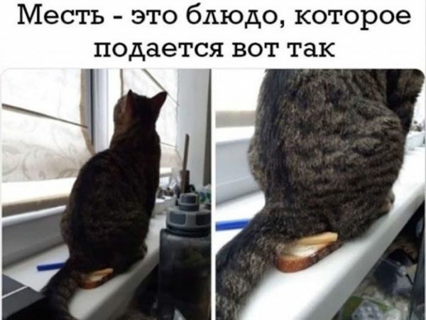 Месть это блюдо которое подается вот так
