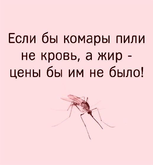 Если бы комары пили не кровь а жир цены бы им не было