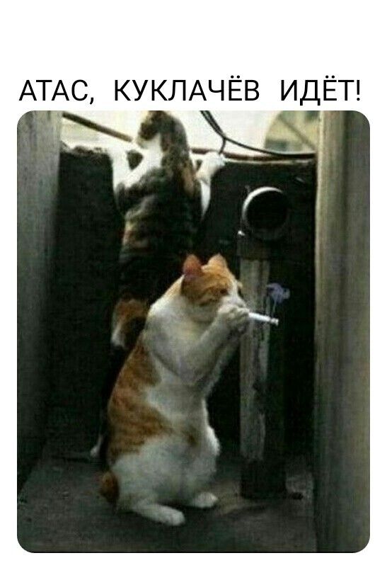 АТАС КУКЛАЧЁВ ИДЁТ і