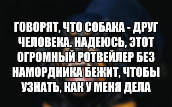 ШВПРШ что ЮБМШ дРШ ШШВША НАДЕЮВЬ ЗПП ШРПМНЫЁДЧТВЕЙПЕР БЕЗ НАМВРДНИЩБЕШИТ ППБЫ УЗНАТЬ ШШ У МЕНЯ дШд