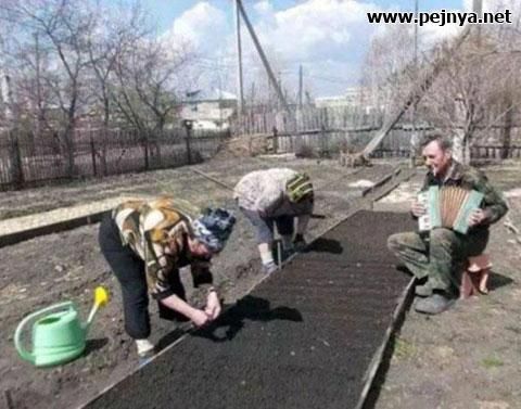 шшпммеіпуа еі