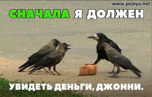 ммм реіпуа пет МШШПЁ