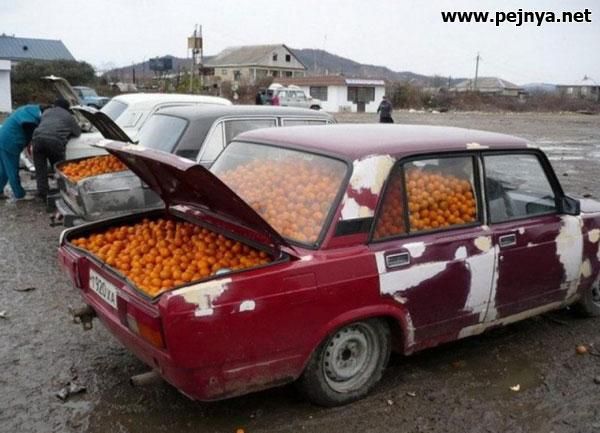 ре1пуамет