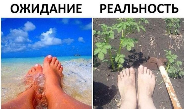 ОЖИДАНИЕ РЕАЛЬНОСТЬ
